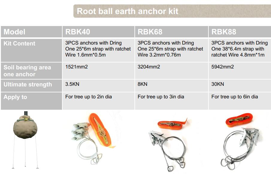 Rootball8 product-905-582